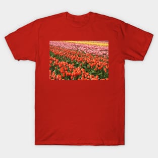 Tulips, nature, gifts, Washington State, Floral Rainbow T-Shirt